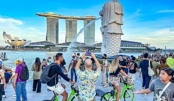 Op maat gemaakte eendaagse rondleiding tijdens je tussenstop in Singapore, dagelijks vertrek en privégids