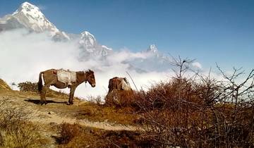 Muldai, Poon Hill, & Mohare Trek
