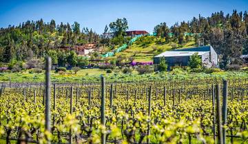 Tailor-Made 10-Day Private Chile & Argentina Luxury Tour, Daily Start