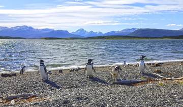 Wilde Naturwunder am Ende der Welt
