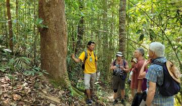 La beauté du sud de la Thaïlande