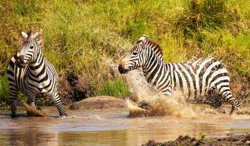 Von der Masai Mara an den Indischen Ozean Rundreise