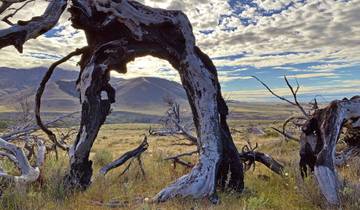 Carretera Austral und Ruta 40 – bis ans Ende der Welt