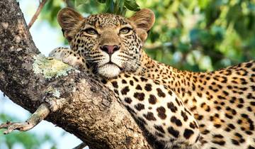 Madibas Vermächtnis