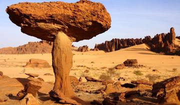Lost Paradise of the Sahara
