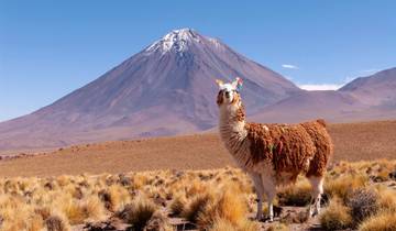 Von der Wüste bis zum Inlandeis