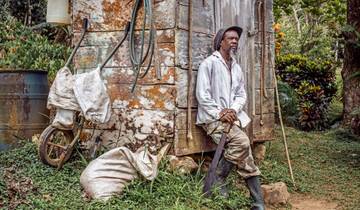 Vulkane, Wale und Piratenbuchten