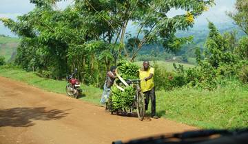 Grüne Perle am afrikanischen Äquator