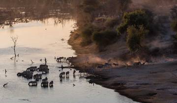 7-Day Okavango Delta, Moremi, and Savuti