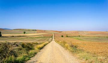 French Way of Saint James from Burgos to León (11 days) Tour