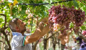 Sizilien individuell - Ostsizilien mit dem Bike entdecken (8 Tage)
