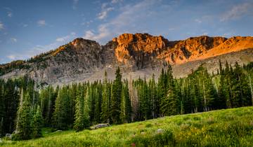 French Way of Saint James from Roncesvalles to Santiago (40 days)