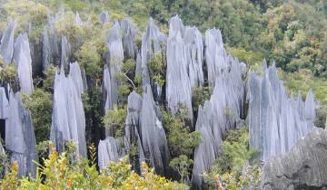 15 Days in Borneo Wildlife, incl. Kuching and Kota Kinabalu