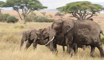 Tanzania budget tours
