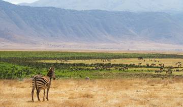 Tansania & Sansibar - 10 Tage Rundreise