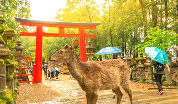 14 Days in Japan, incl. Tokyo and Kyoto