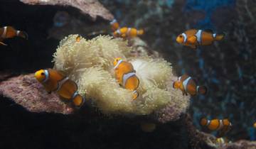 Island Hopping in Thailand In 9 Days