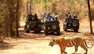Rondreis door de Gouden Driehoek - incl. jungle-safari in Ranthambore - 5 dagen-rondreis