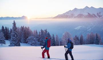 Winter and snowshoe hikes on the Mieminger Plateau for singles and solo travelers (7 Days)