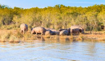 Safari en Afrique australe : le parc Kruger et le Mozambique circuit