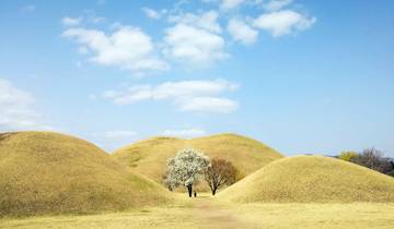 2026 Check-in Korea with Jeju Island in 16days: A Curated All-Inclusive Experience