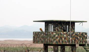 South Korea budget tours
