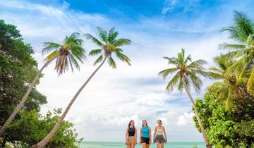 Australien: Ostküste Abenteuer 28 Tage