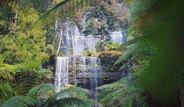 Ultimate Tasmania - Circuit confort de 10 jours en Tasmanie