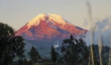 Hoogtepunten van Ecuador-rondreis