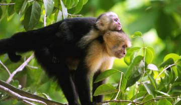 12 Days in Costa Rica & Nicaragua, incl. San José and Granada