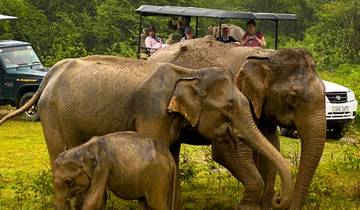 Circuito La serena Sri Lanka: Un viaje mágico de 5 días
