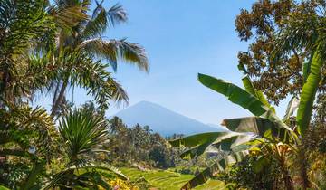 Sacred Gardens of Bali: A 8-Day Discovery - Private Tour