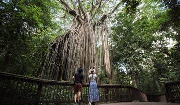 14 Days in Eastern Australia, incl. Sydney and Cairns