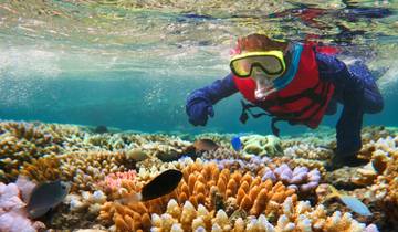 De Brisbane à la forêt tropicale de Daintree, avec des excursions vers les îles et le récif – Circuit exclusif de 9 jours circuit