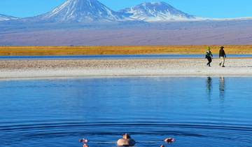7 jours Route du désert d'Atacama