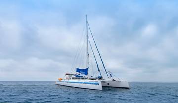Nemo III Catamarán de Primera Clase 8 Días