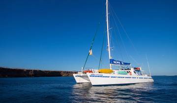 Catamarán Nemo II 5 Días