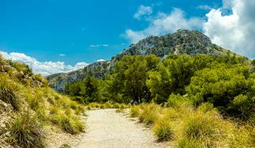 Randonnée à Majorque pendant la floraison des amandiers (8 jours)