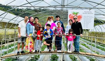 Das Beste aus Sri Lanka Rundreise