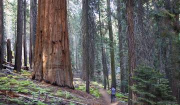 Yosemite Nationalpark - Kleingruppen Wanderreise Rundreise