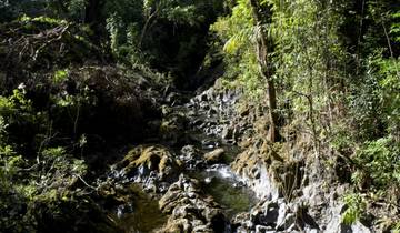 Die Gipfel des Yosemite Nationalparks Rundreise