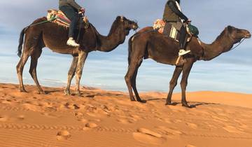 Circuito Excursión de 4 días por el desierto de Marruecos, desde Marrakech hasta Merzouga, con paseo en camello