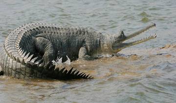 Private 5-Day Delhi, Agra & Jaipur Tour with Chambal River Safari Tour
