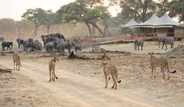 Viaje en avión a Mana Pools y al Parque Nacional de Hwange (7 días)