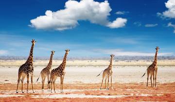 Circuito Namibia y descubrimiento del Cabo - 11 días