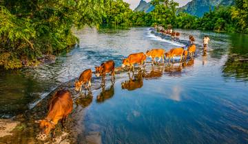 Das Beste aus China mit Großer Mauer & Yangtze-Kreuzfahrt Rundreise