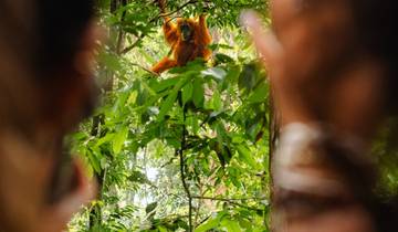 18 Day Indonesia Itinerary, incl. Sumatra and Bali