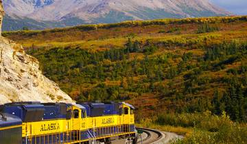 Nordlichter in Alaska (von Fairbanks, AK, nach Anchorage, AK)
