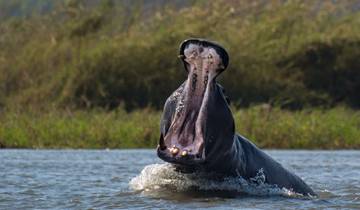 14 Day Botswana Wildlife Safari Itinerary, incl. Chobe and Okavango Delta
