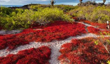 Galápagos exprés - islas central, sur y este a bordo del Archipel I